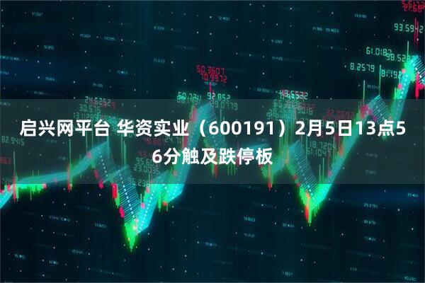 启兴网平台 华资实业(600191)2月5日13点56分触及跌停板